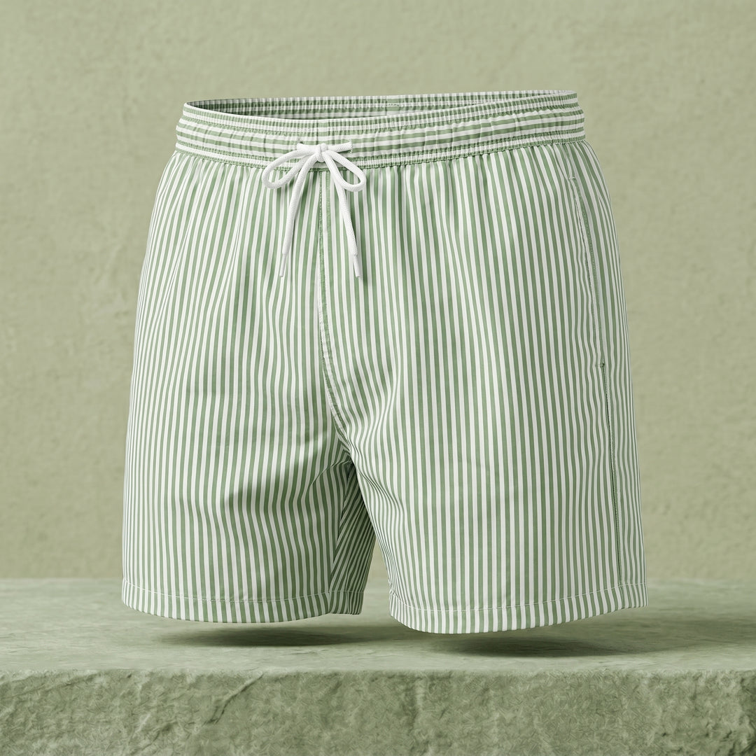 Damon Striped Swim Shorts