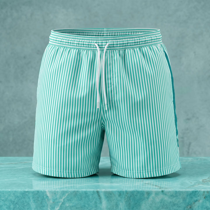 Damon Striped Swim Shorts
