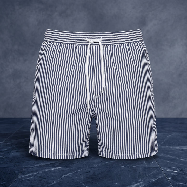 Damon Striped Swim Shorts