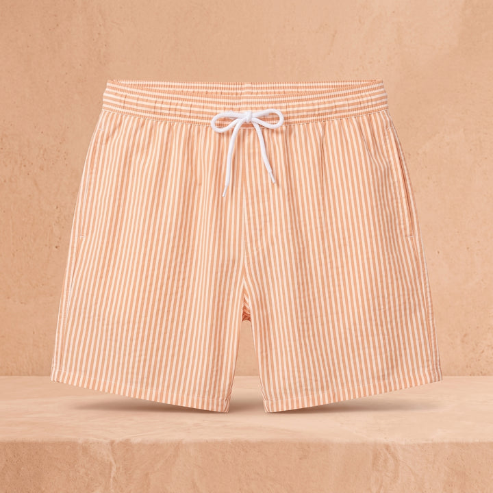 Damon Striped Swim Shorts