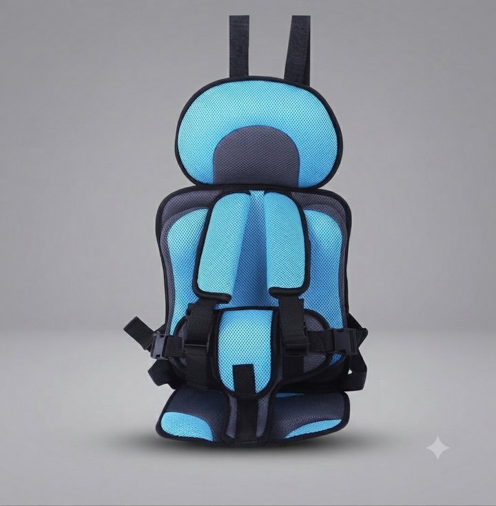 Journey Portable Toddler Car Seat